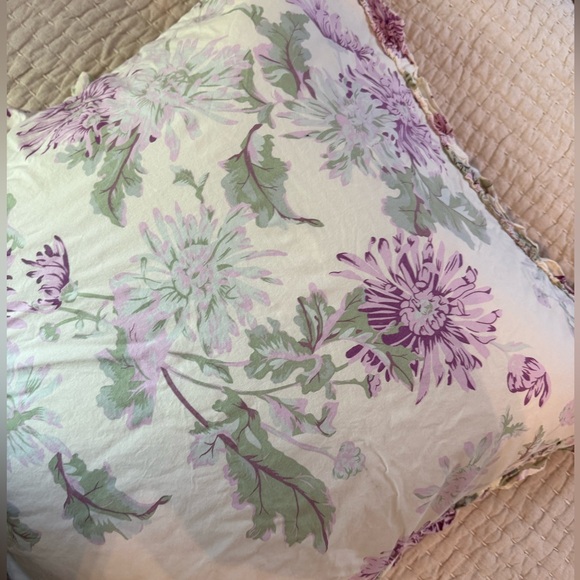 Anthropologie Queen Duvet & Euro Shams - Picture 2 of 10